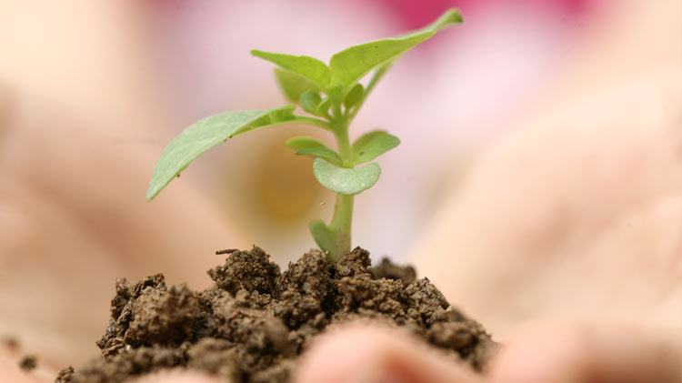 Preocupação ambiental e preservação da poluição SERLUSA